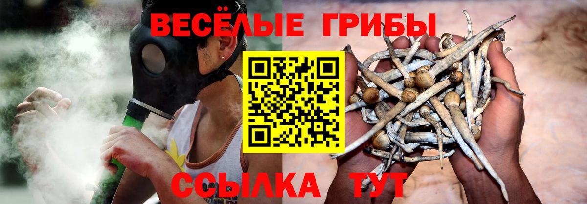 Новоалтайск  Галлюциногенные грибы Psilocybine cubensis  Вход с VPN  Галлюциногенные грибы Cubensis 